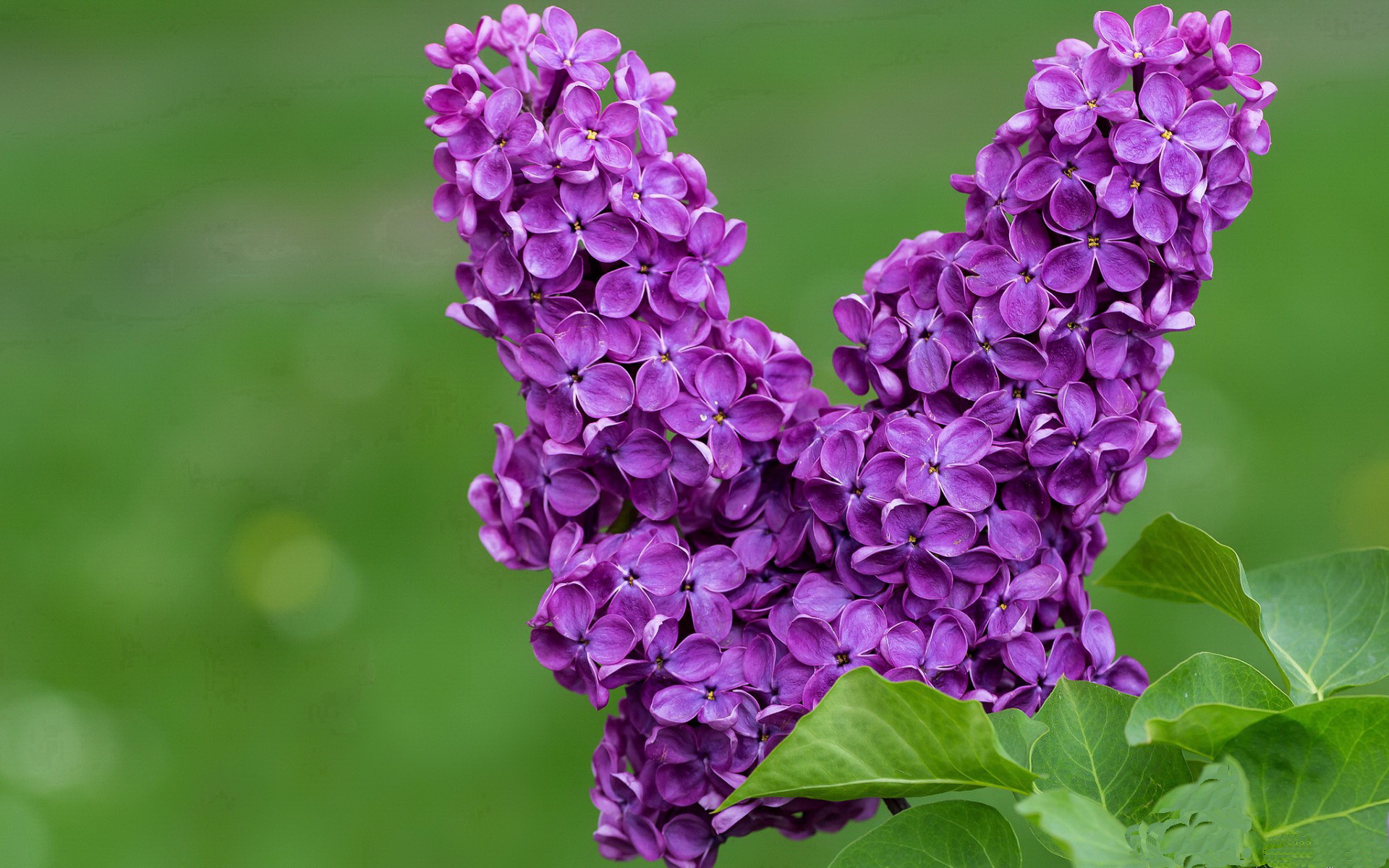 终场哨响，一场心跳的重启