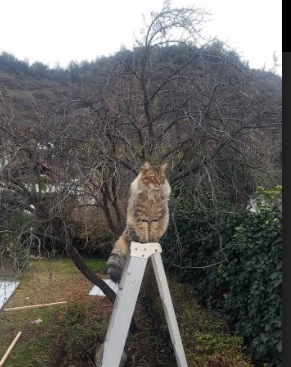 末节之王，从英超争冠到西甲逆转的足球时刻