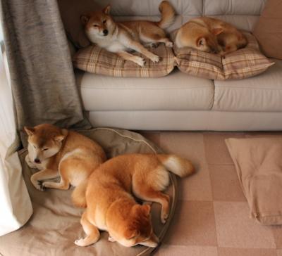 东方长城遭遇天使之翼，迪马利亚魔术般演出令中国防线窒息