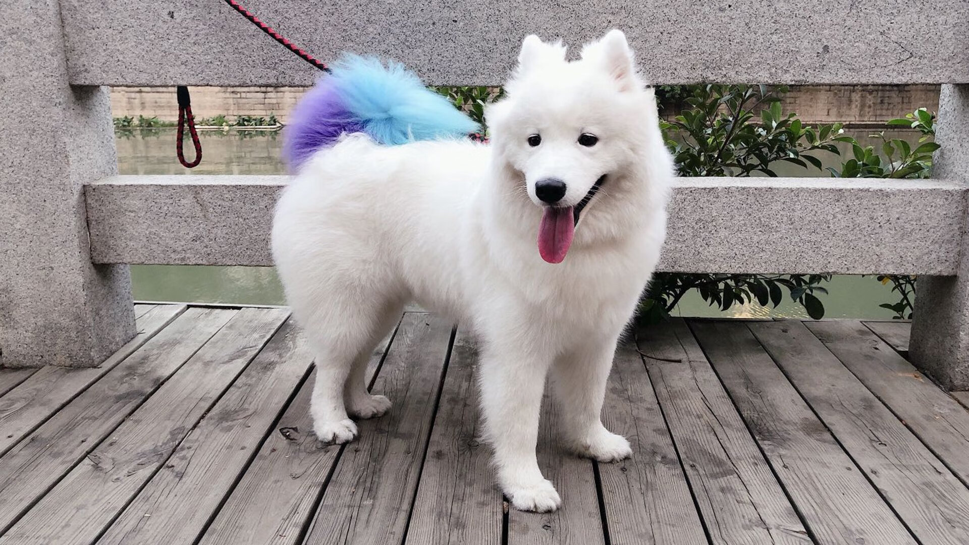 唯一性的证明，奥斯梅恩欧冠淘汰赛接管比赛，那不勒斯强压玻利维亚式挑战