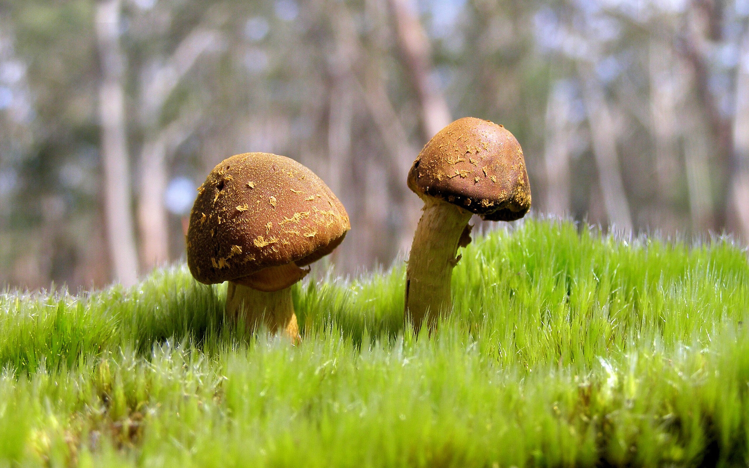 英雄迟暮？皮克加时赛头球绝杀，国际米兰客场3-0碾压波兰冠军