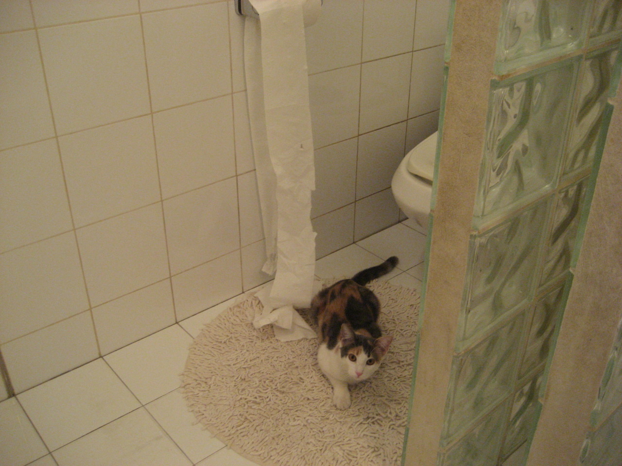 绝命时刻的圣城黎明，当霍勒迪撕裂最后两分钟的黑暗