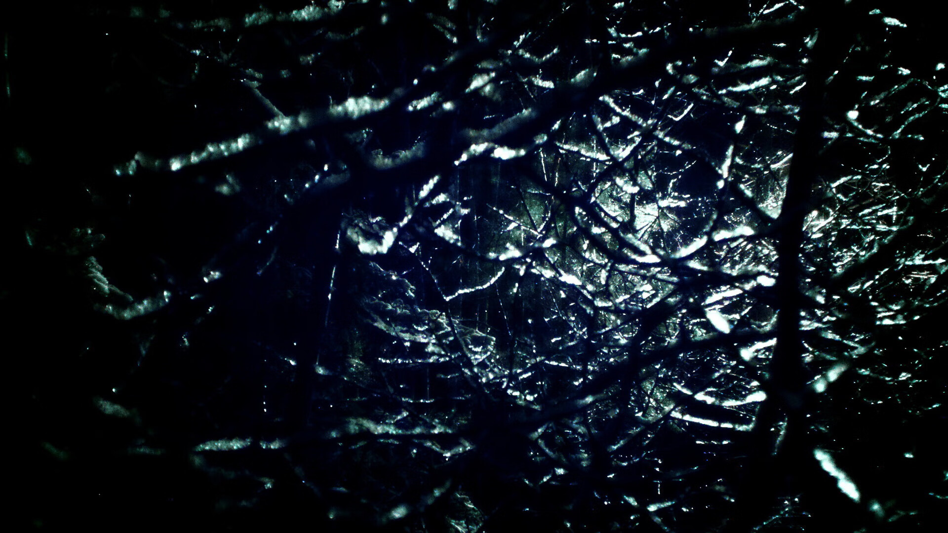 金色轰炸机与红色图腾，当公牛闯入2026世界杯