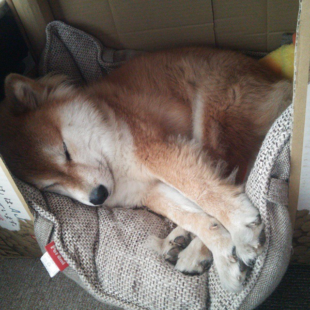 跨界共鸣，76人绝杀辽宁队的梦幻对决与德罗赞抢七接管比赛的精神图腾