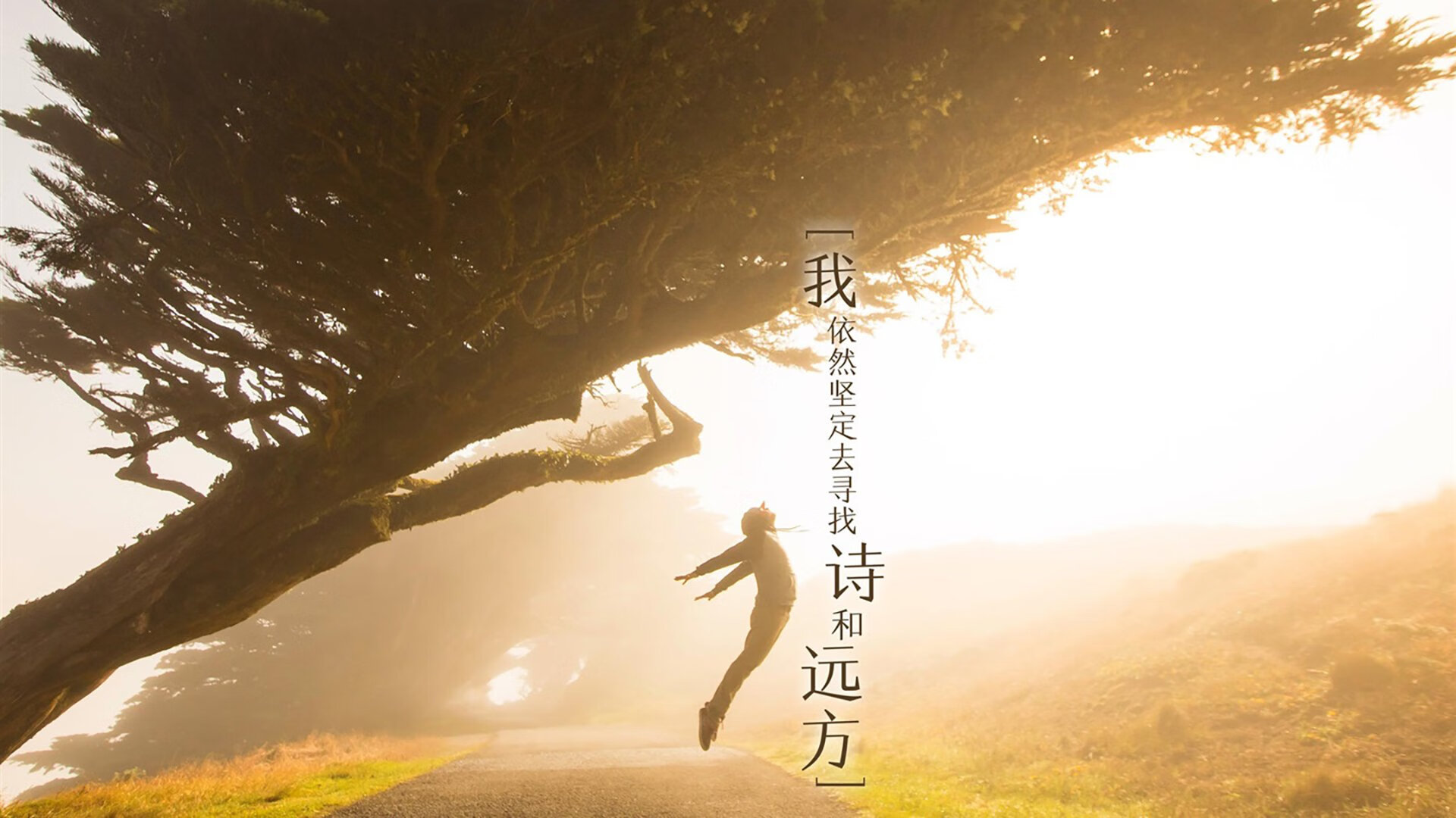 沙漠风暴席卷潘帕斯,伊拉克用窒息节奏与拉什福德冷血一击,改写2026世界杯F组剧本