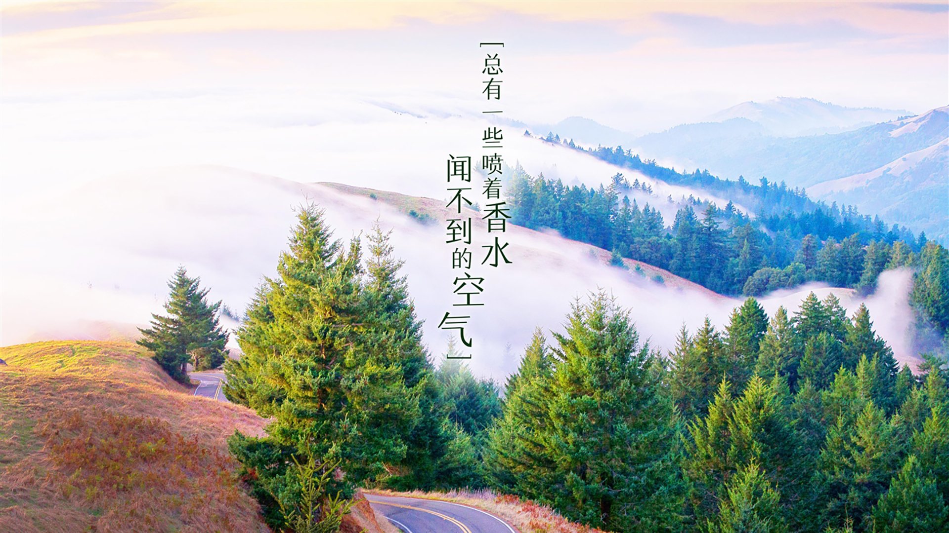 黑星陨落,蓝武士折戟,当吉鲁的致命一击为非洲荣耀加冕